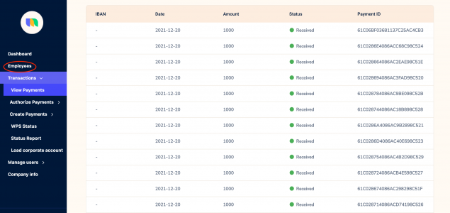 A screenshot of the NOW Money dashboard showing employee payments
